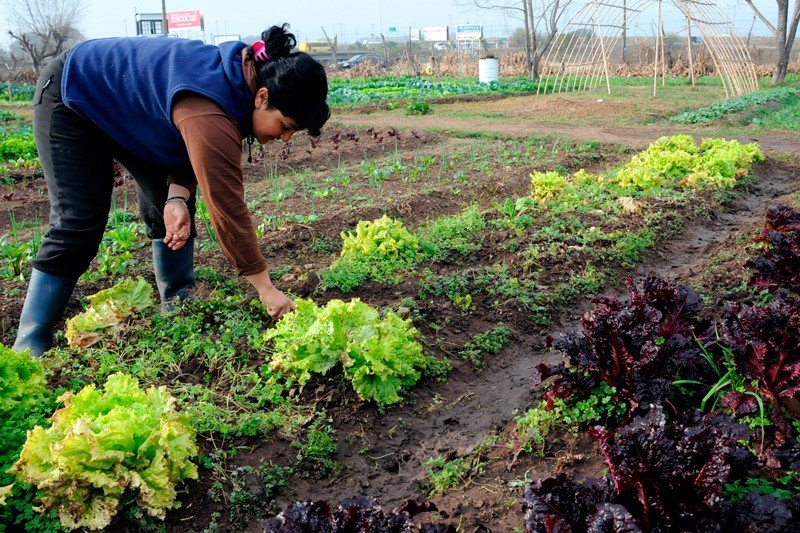 Conciencia Ambiental Agroecolog A M S Que Una Buena Pr Ctica