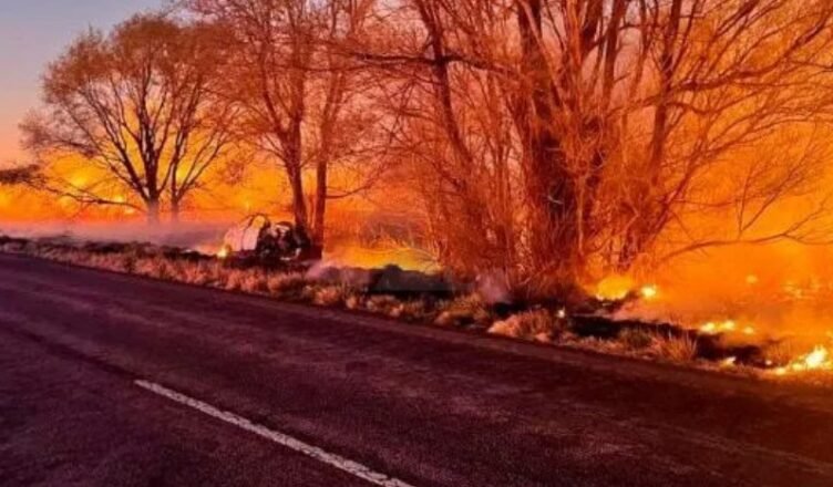 Tragedia Una docente pampeana murió tras chocar contra un árbol y