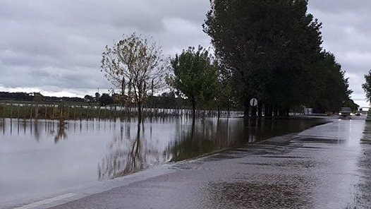 Conocé el estado de las rutas este fin de semana - Zonal Noticias