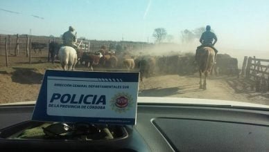 Gentileza HR Digital