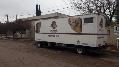 Zonal Noticias - Ingeniero Luiggi