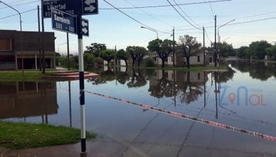 Zonal Noticias - Ingeniero Luiggi