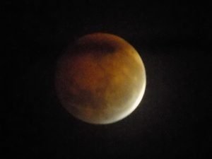 DSCN3089