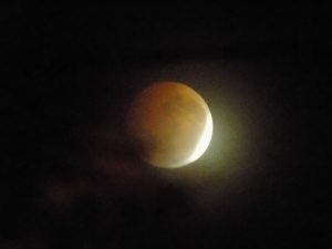 DSCN3096
