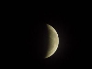 DSCN3114