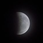 DSCN3126