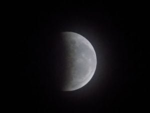 DSCN3126