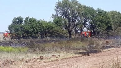 Zonal Noticias - Ingeniero Luiggi