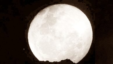 Gentileza Conrado Kurtz