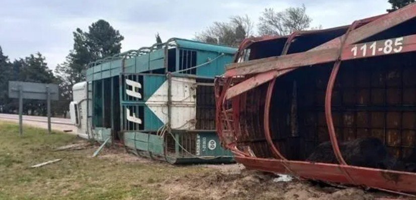 Un camión con hacienda chocó con una camioneta en la Ruta 35 y terminó ...